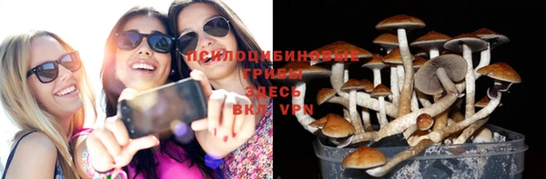 тгк Лагань