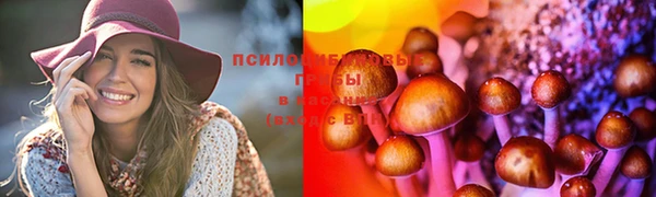 мдпв Ладушкин