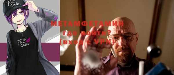 мдпв Ладушкин