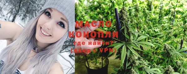 тгк Лагань