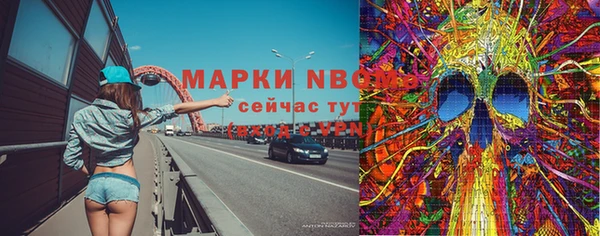 крисы Лабытнанги