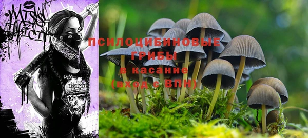 мдпв Ладушкин