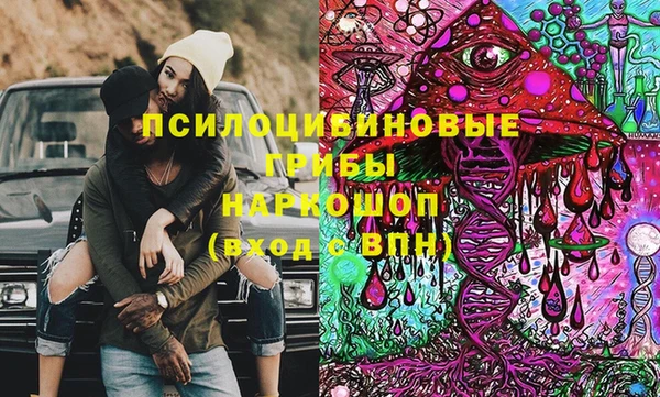 крисы Лабытнанги