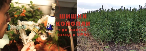 тгк Лагань