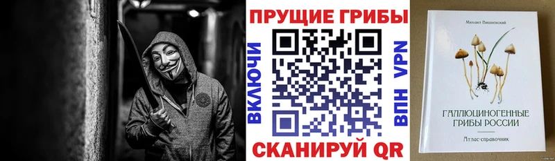 Галлюциногенные грибы MAGIC MUSHROOMS  Купить  Перевоз 